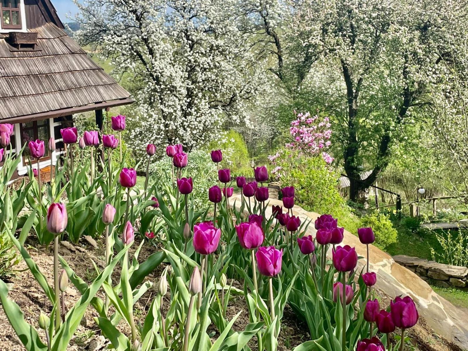 Zahoczewie Maciejewka 빌라 외부 사진